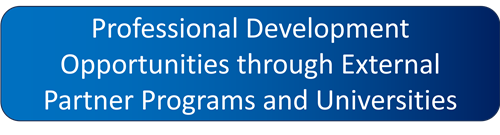 Professional Development Opportunities through External Partner Programs and Universities